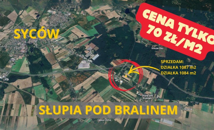 działka na sprzedaż - Perzów, Słupia pod Bralinem