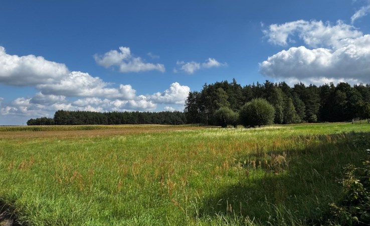 działka na sprzedaż - Ostrzeszów, Bierzów